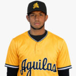 Águilas Cibaeñas fortalecen bullpen con el potente brazo de Eury Ramos